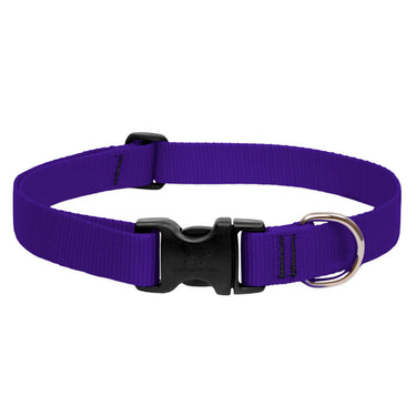 BASICS Adjustable Collar PURPLE 1/2″ FOR SMALL DOGS - 10